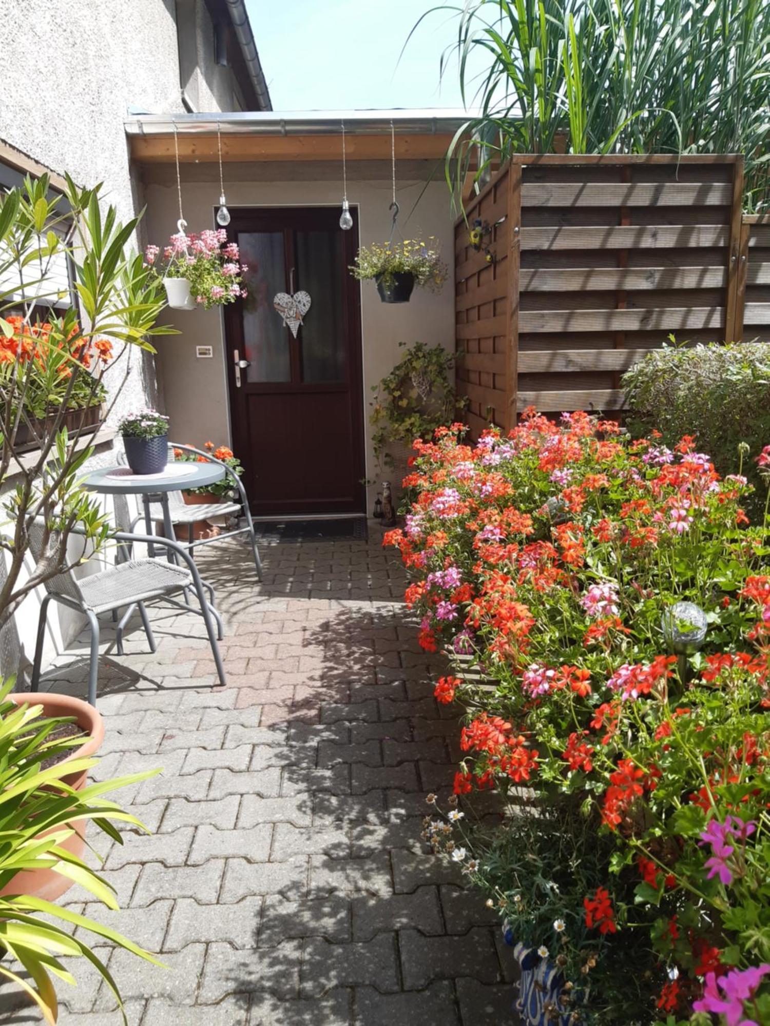 Seidelsferienparadiesgahlenz Kamer foto