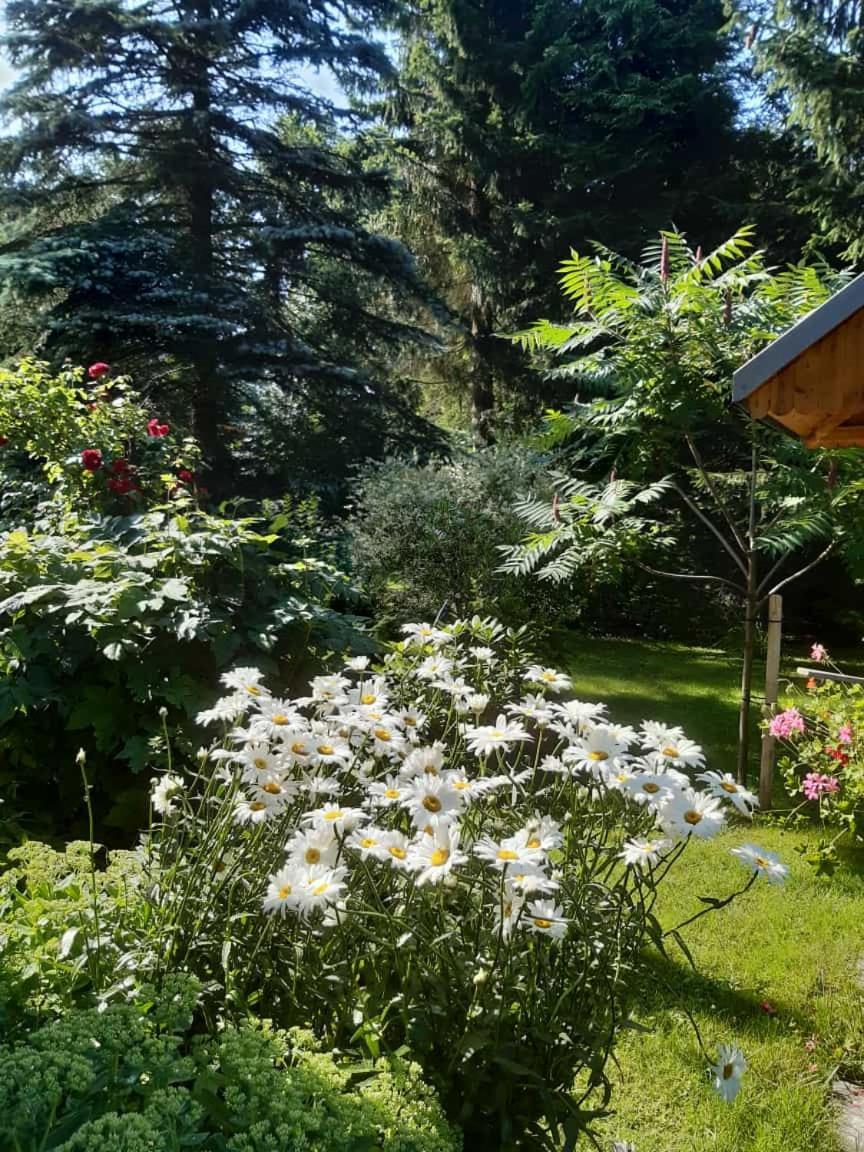 Seidelsferienparadiesgahlenz Buitenkant foto